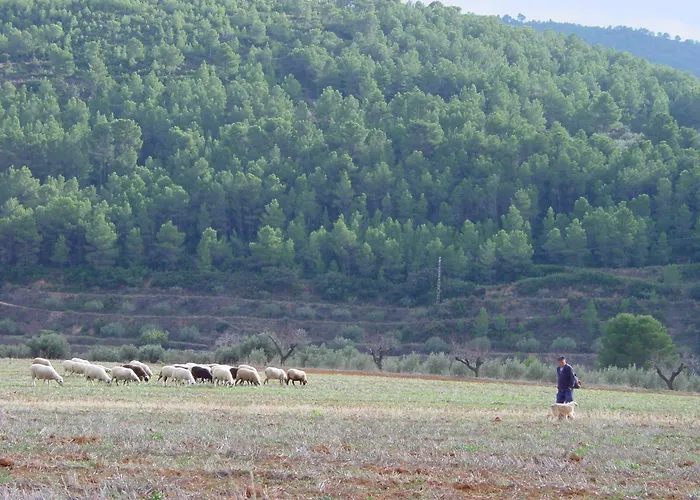 La Bodega Enoturismo Rural